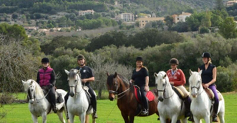 Mallorca: Guided Horseriding Tour of Randa Valley - The Experience: What to Expect