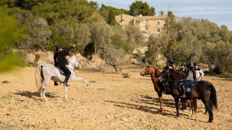 Mallorca: Guided Horseriding Tour of Randa Valley - The Scenery and Route