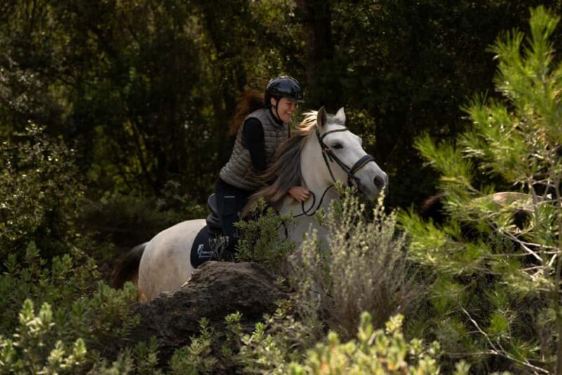 Mallorca: Guided Horseriding Tour of Randa Valley - The Practical Details: Price, Duration, and Group Size