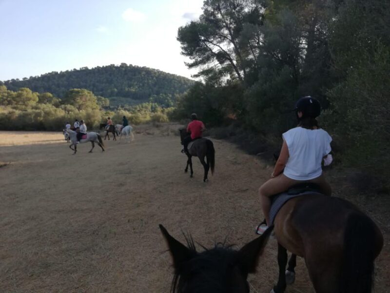 Mallorca: Guided Horseriding Tour of Randa Valley - Who Should Consider This Tour?