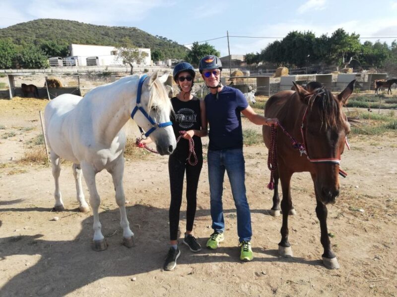 Mallorca: Guided Horseriding Tour of Randa Valley - Final Thoughts: Is It Worth It?