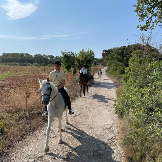 Mallorca: Guided Horseriding Tour of Randa Valley - FAQ