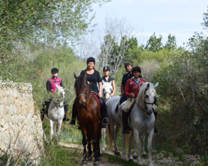 mallorca-guided-horseriding-tour-of-randa-valley