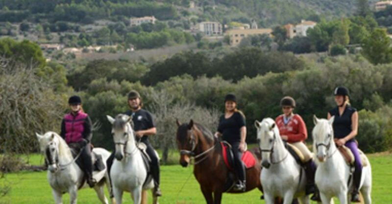 mallorca-guided-horseriding-tour-of-randa-valley