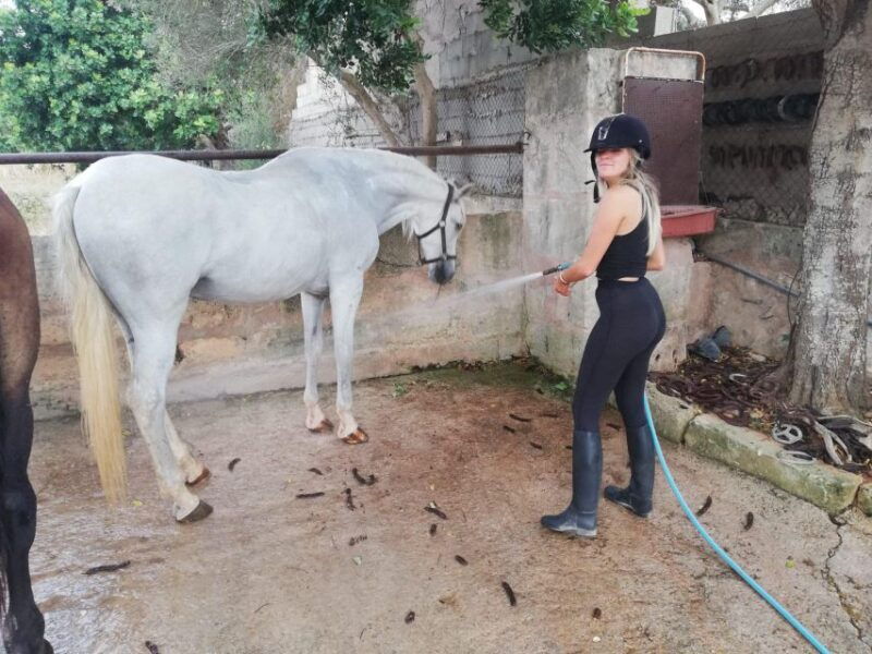 mallorca-guided-horseriding-tour-of-randa-valley