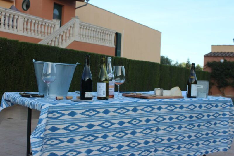 mallorca-horseback-riding-excursion-and-wine-tasting