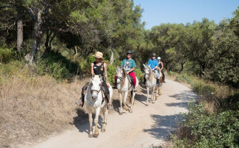 mallorca-horseback-riding-excursion-and-wine-tasting
