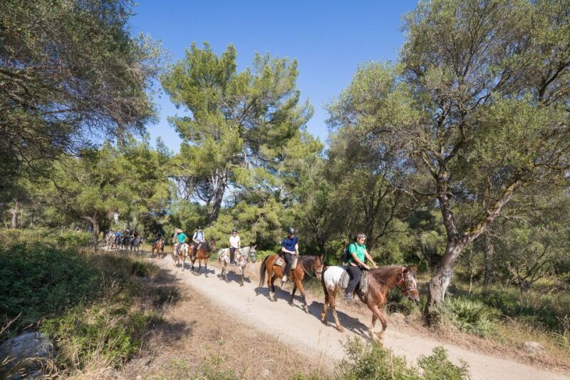 mallorca-horseback-riding-excursion-and-wine-tasting