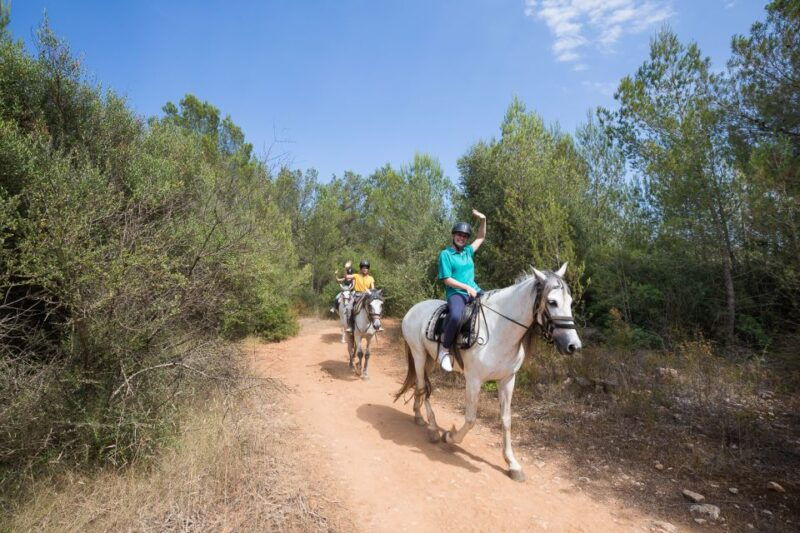 mallorca-horseback-riding-excursion-and-wine-tasting