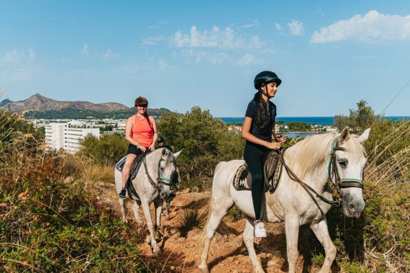 mallorca-horseback-riding-experience-with-food-options