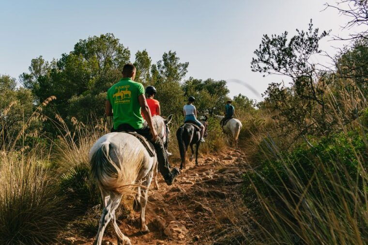 mallorca-horseback-riding-experience-with-food-options