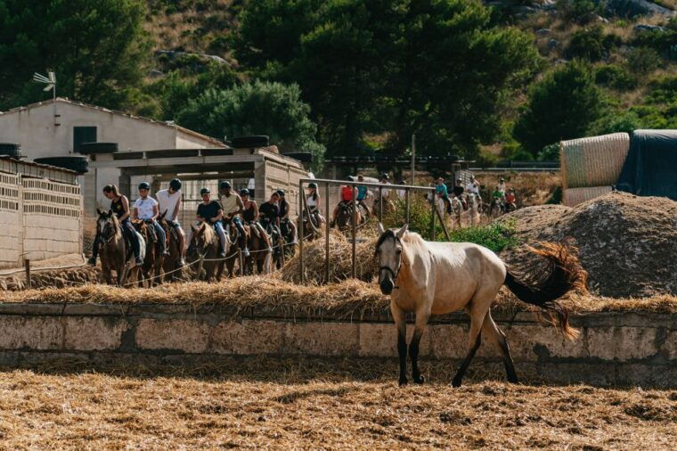 mallorca-horseback-riding-experience-with-food-options