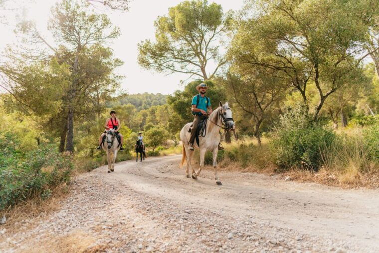 mallorca-horseback-riding-experience-with-food-options
