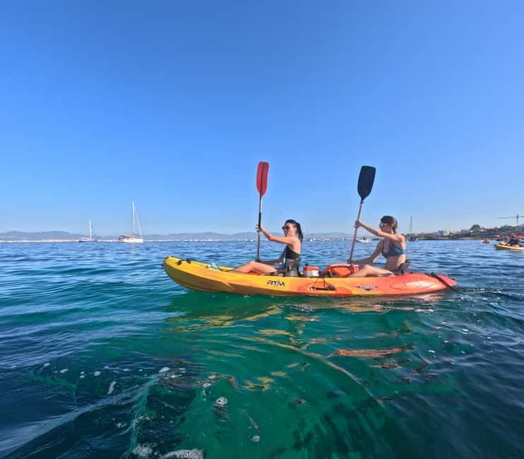 Mallorca: Kayak Rental - What to Expect from the Activity