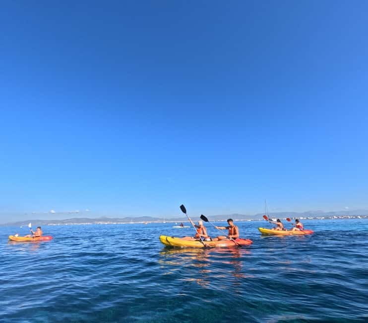 Mallorca: Kayak Rental - Who Will Love This Experience?