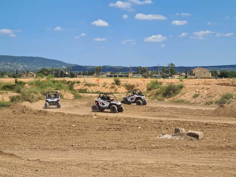 Mallorca Kids Buggy - What Is the Mallorca Kids Buggy Experience?