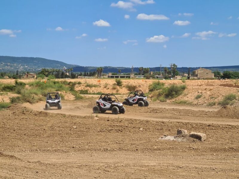 Mallorca Kids Buggy - Who Will Love This Experience?