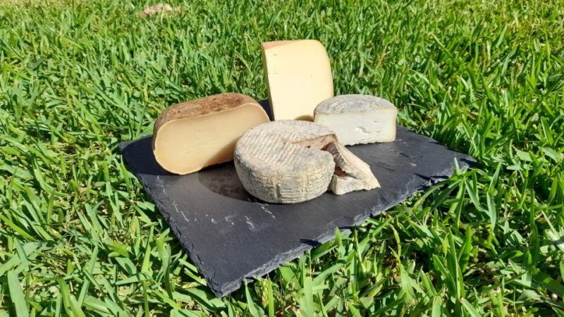 mallorca-local-wines-foods-tasting