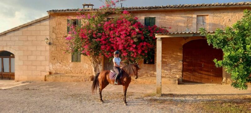 mallorca-mallorcan-sunset-horseback-riding-with-drinks