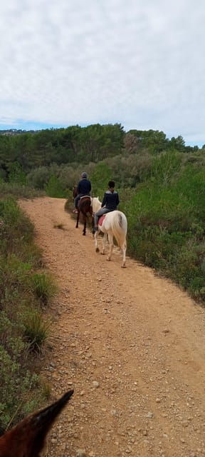 mallorca-mallorcan-sunset-horseback-riding-with-drinks