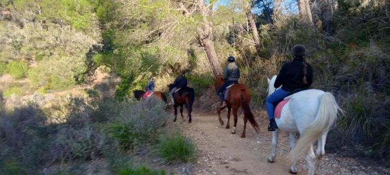 mallorca-mallorcan-sunset-horseback-riding-with-drinks
