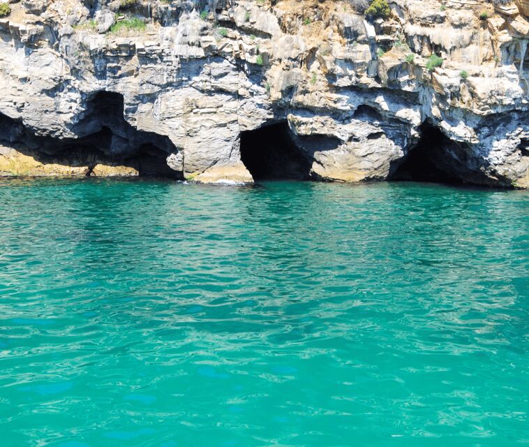 Mallorca Marine reserve: Visit caves, cliffs and snorkeling - Starting Point and Logistics