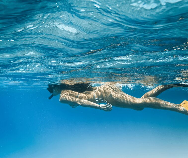 Mallorca Marine reserve: Visit caves, cliffs and snorkeling - Who This Tour Is Perfect For