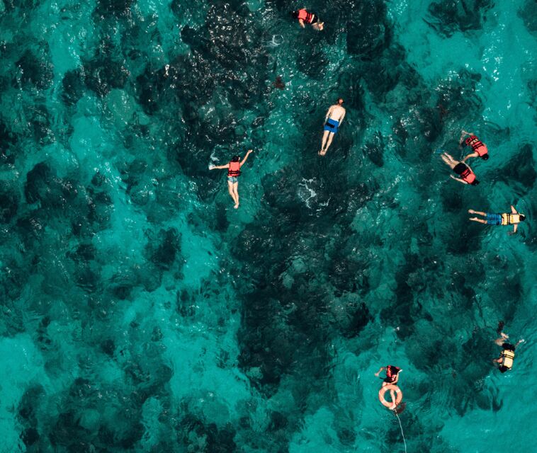 Mallorca Marine reserve: Visit caves, cliffs and snorkeling - Final Thoughts