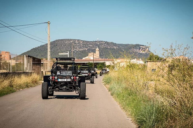 Mallorca: On Road Buggy Tour + Panorama View + Snorkeling - Price and Value Analysis