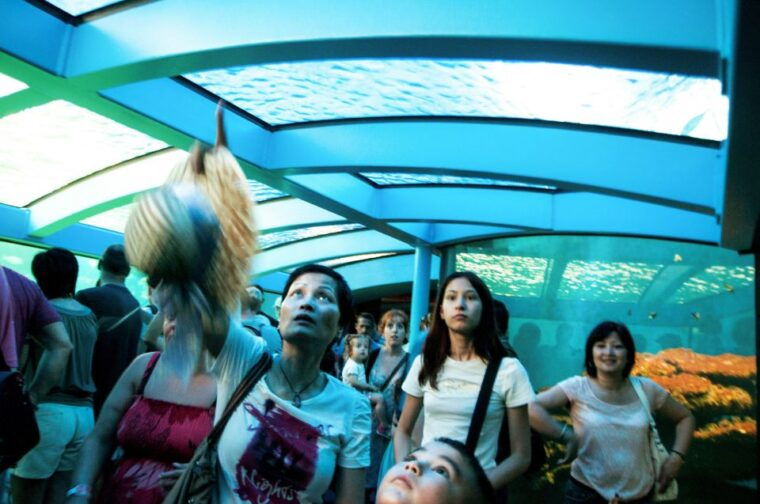 mallorca-palma-aquarium-entry-ticket-w-optional-3d-cinema