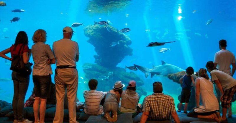 mallorca-palma-aquarium-tickets-with-transfer