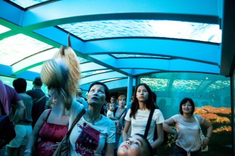 mallorca-palma-aquarium-tickets-with-transfer