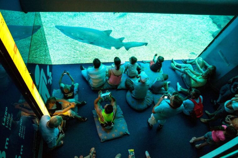 mallorca-palma-aquarium-tickets-with-transfer