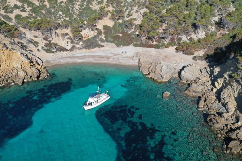 Mallorca: Private boat tour in Palma de Mallorca - Key Points