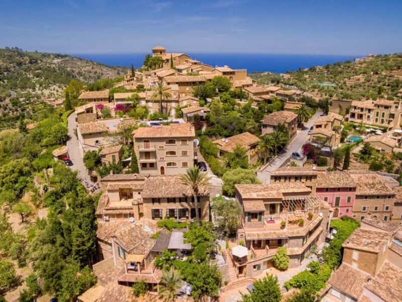 Mallorca: Private Full-Day Tour with local guide - Analyzing the Value  