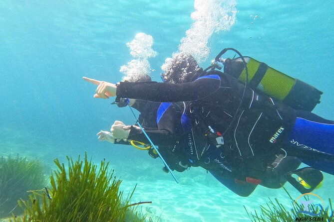 mallorca-private-reservationscuba-dive-photo-video