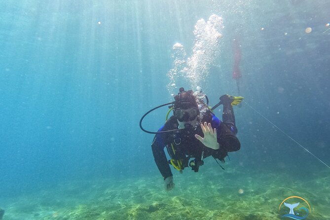 mallorca-private-reservationscuba-dive-photo-video