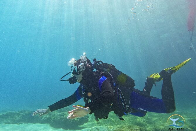 mallorca-private-reservationscuba-dive-photo-video