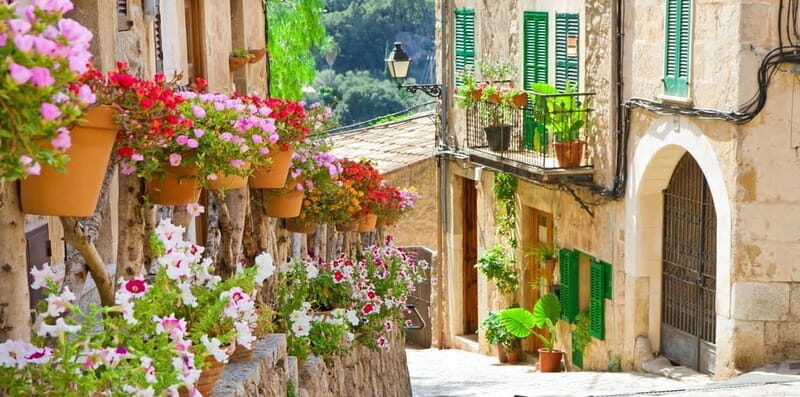 Mallorca: Puerto de Sóller and Valldemossa Morning Trip - FAQ