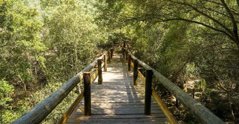 mallorca-reserva-park-entry-ticket-with-nature-animals