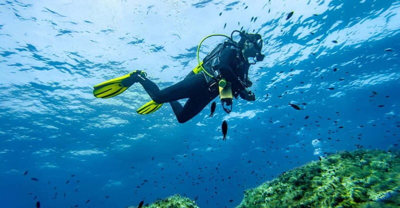 Mallorca: Scuba Dive Adventure Cap de Formentor - 1 dive site - The Full Itinerary Breakdown