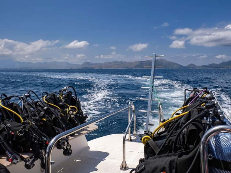 Mallorca: Scuba Dive Adventure Cap de Formentor - 2 dive sites - Key Points