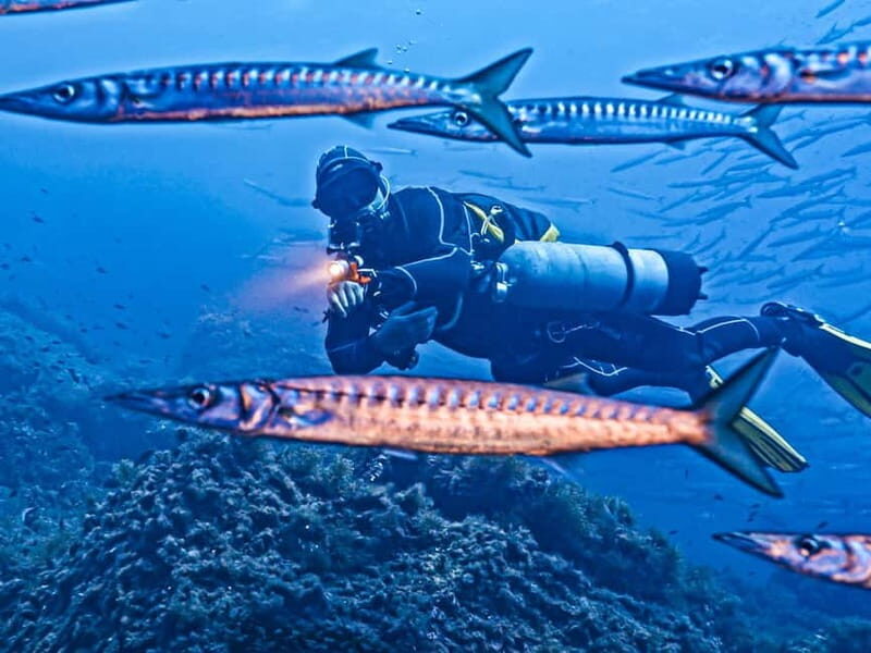 Mallorca: Scuba Dive Adventure Cap de Formentor - 2 dive sites - Whats Included and Whats Not