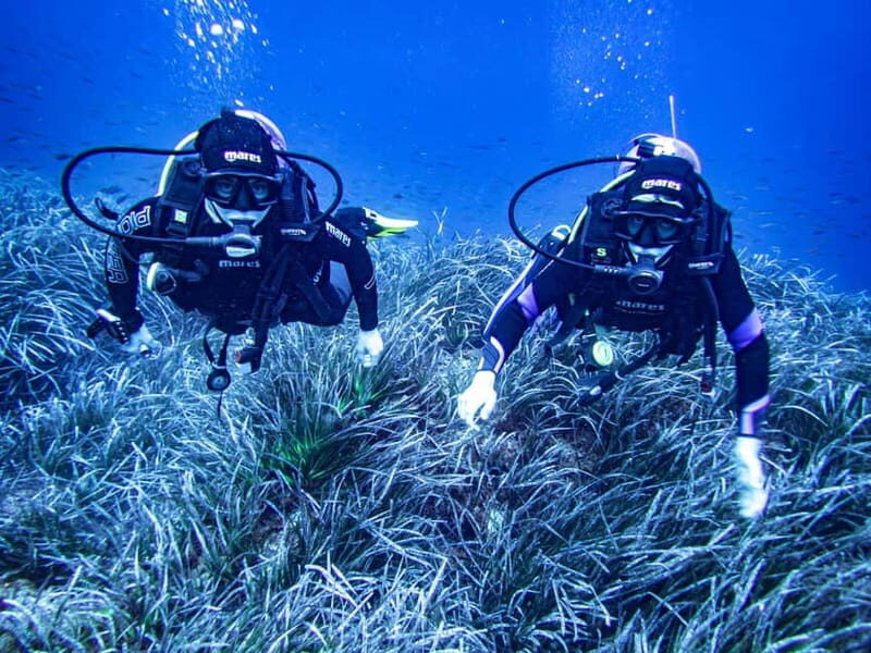 Mallorca: Scuba Dive Adventure Cap de Formentor - 2 dive sites - Practical Details and Tips