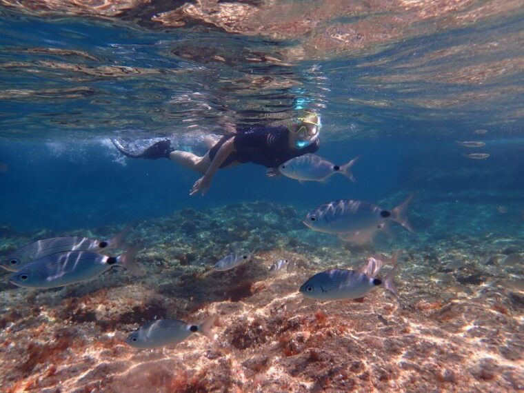 mallorca-snorkeling-in-a-beautiful-nature-reserve-2