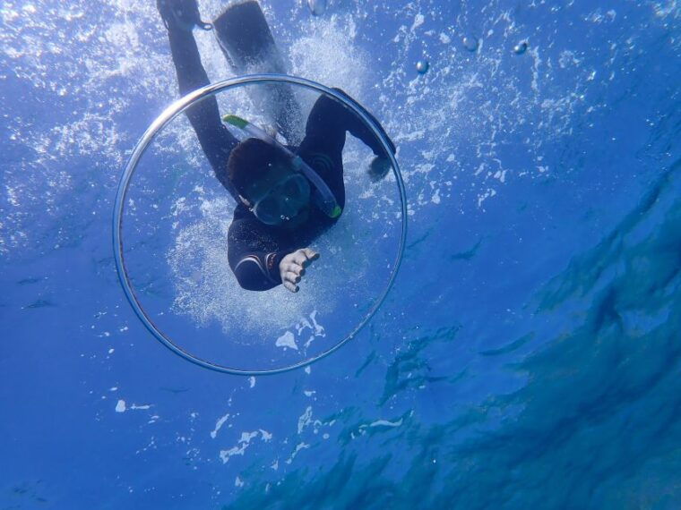 mallorca-snorkeling-in-a-beautiful-nature-reserve-2