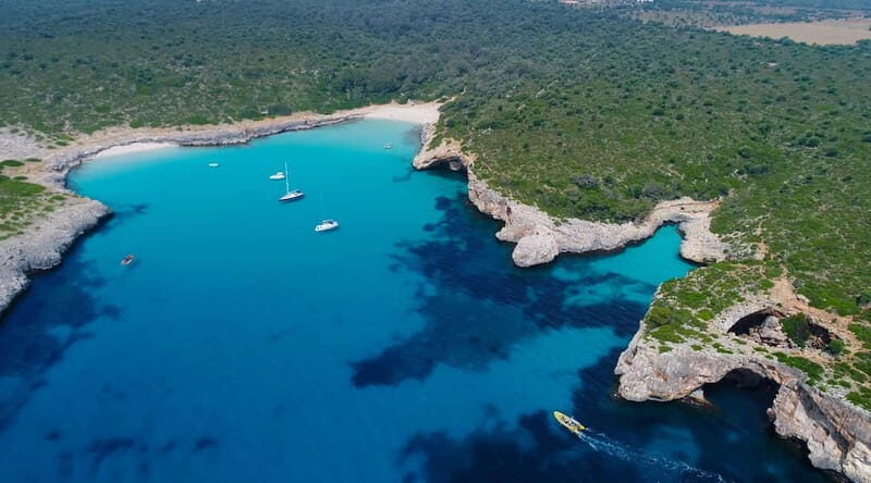 Mallorca: Snorkeling in the Natural Park by Boat - A Deep Dive into the Mallorca Snorkeling Experience
