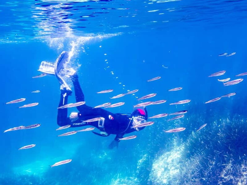 Mallorca: Snorkeling tour with instructor from a boat in a hidden bay - Key Points