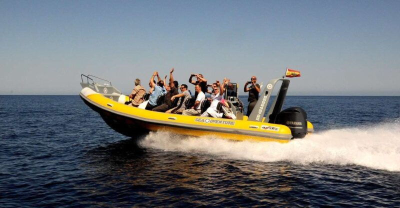 mallorca-speedboat-snorkelling-and-swimming-adventure