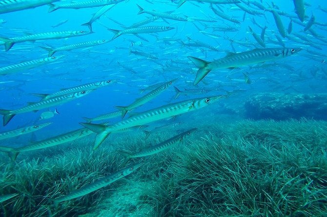 mallorca-ssi-open-water-diver-course